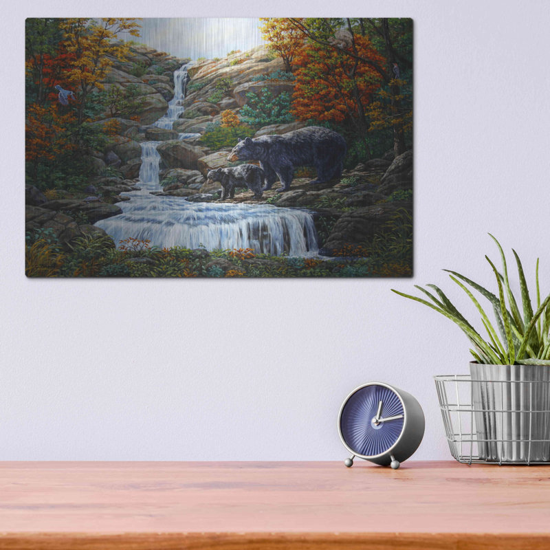 «Black Bear Falls» par Crista Forest, H 12 po x l 16 po