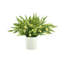 Wild Floral Arrangement in a Pot