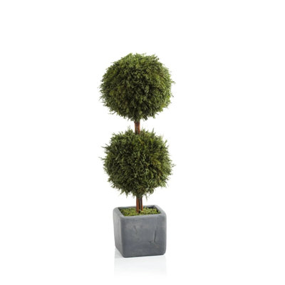 Cypress Topiary in Terracotta Planter