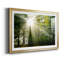 Light and Trees II - Photographie avec cadre-520607933-520607932