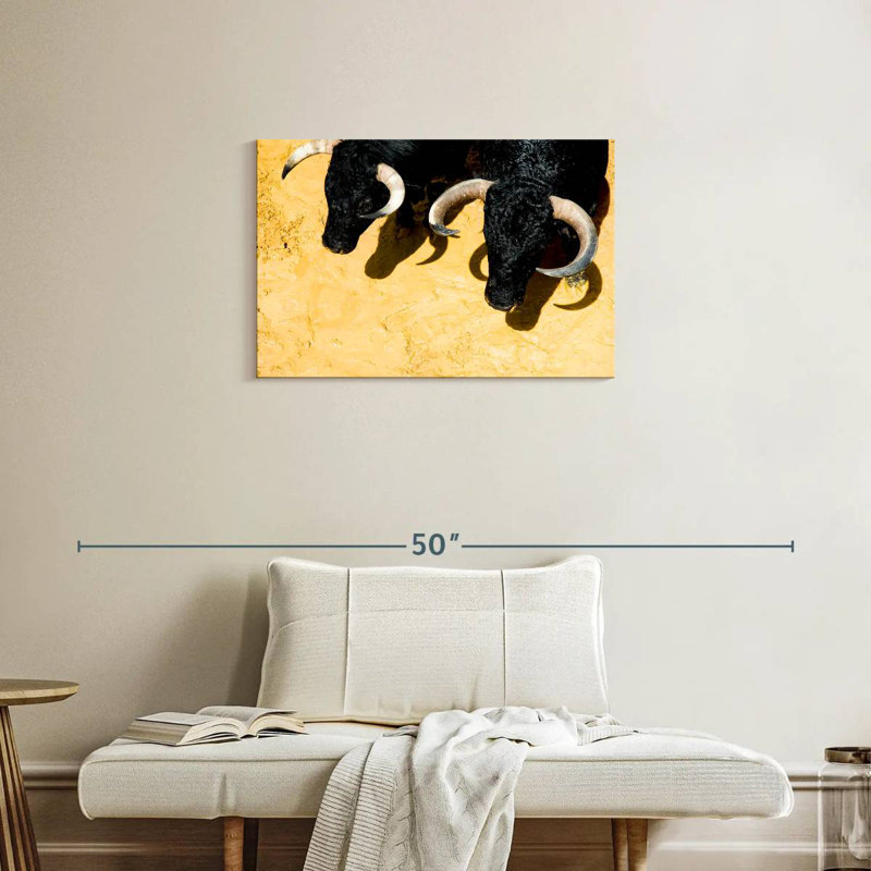Fighting Bulls, H 20 po x l 30 po
