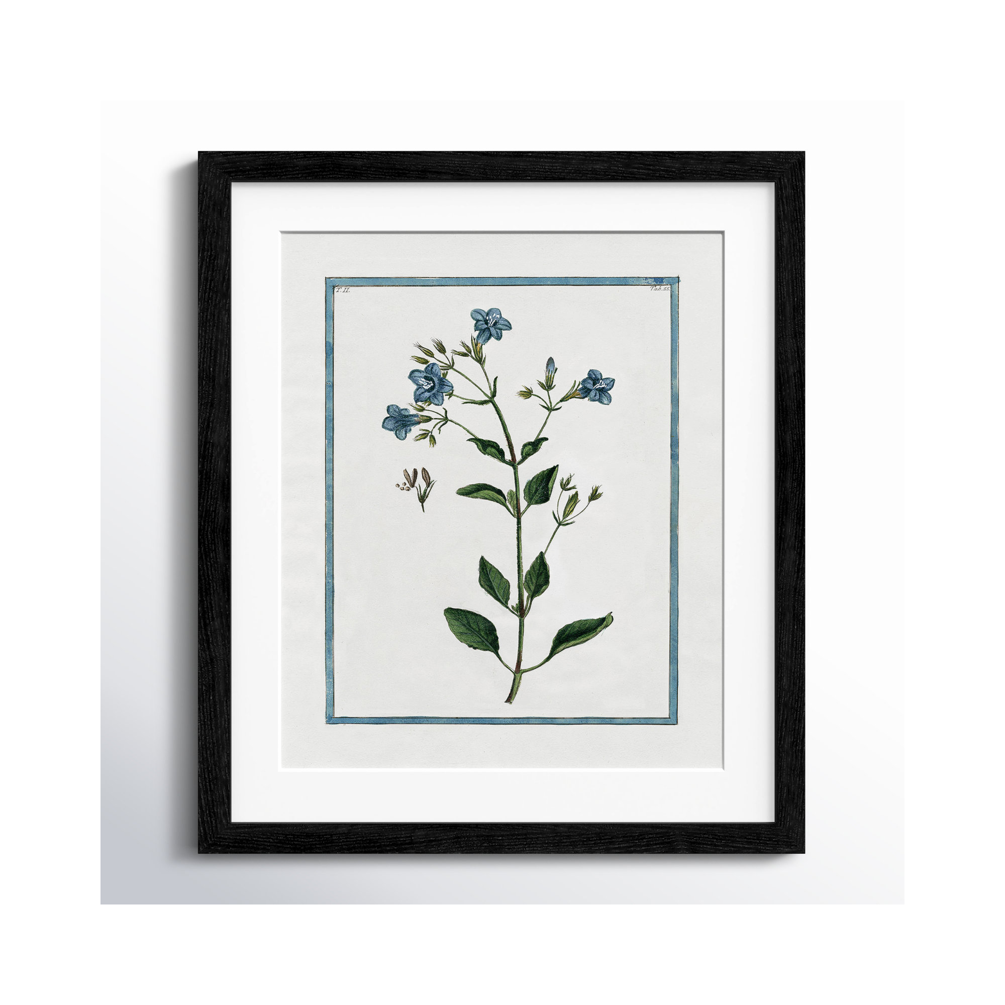 Shabby Elegance Botanical II - Framed Art, Black Framed, 13" W x 15" H