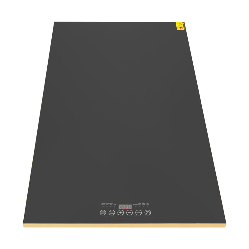 Plaque chauffante électrique 400W avec affichage intelligent