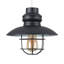 Penglai 26.5cm H Metal Novelty Pendant Shade ( Spider )-40532448