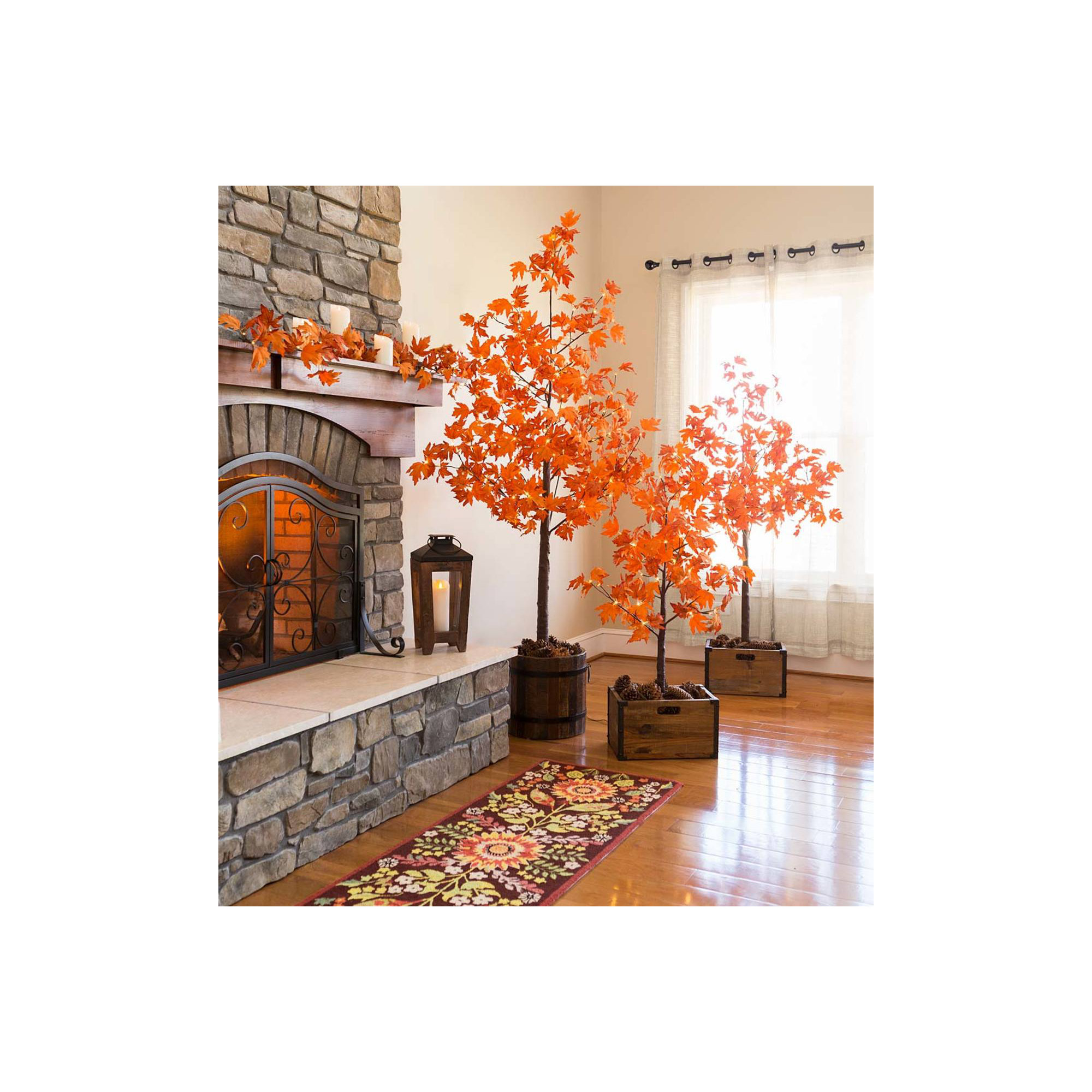 Maple Tree, 40" x H x 48" W x 48" D