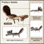 Chaise longue rembourrée pliable avec pieds robustes