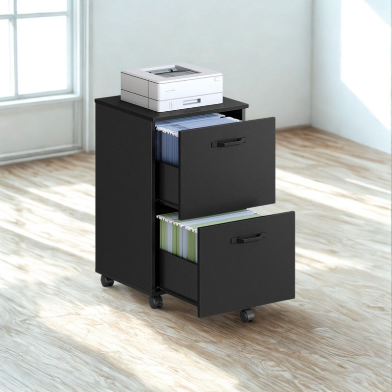 42 cm W 2 -Drawer Filing Cabinet, Black