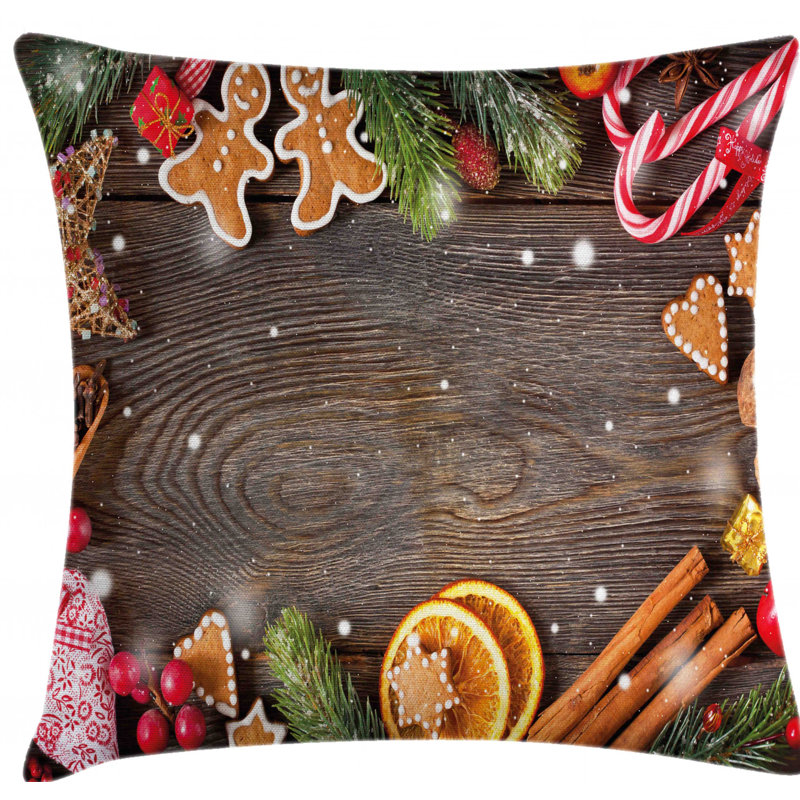 Indoor / Outdoor 28" Throw Pillow Cover
