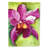 Candelaria Double Sided 40'' H x 28'' W Polyester House Flag