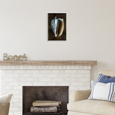 Conch Shell On Black par Caroline Kelly