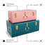  2 Piece Metal Accent Trunk Set