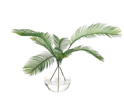 Palm Fern, Green, Glass Bulb Vase, 23wx24dx15h