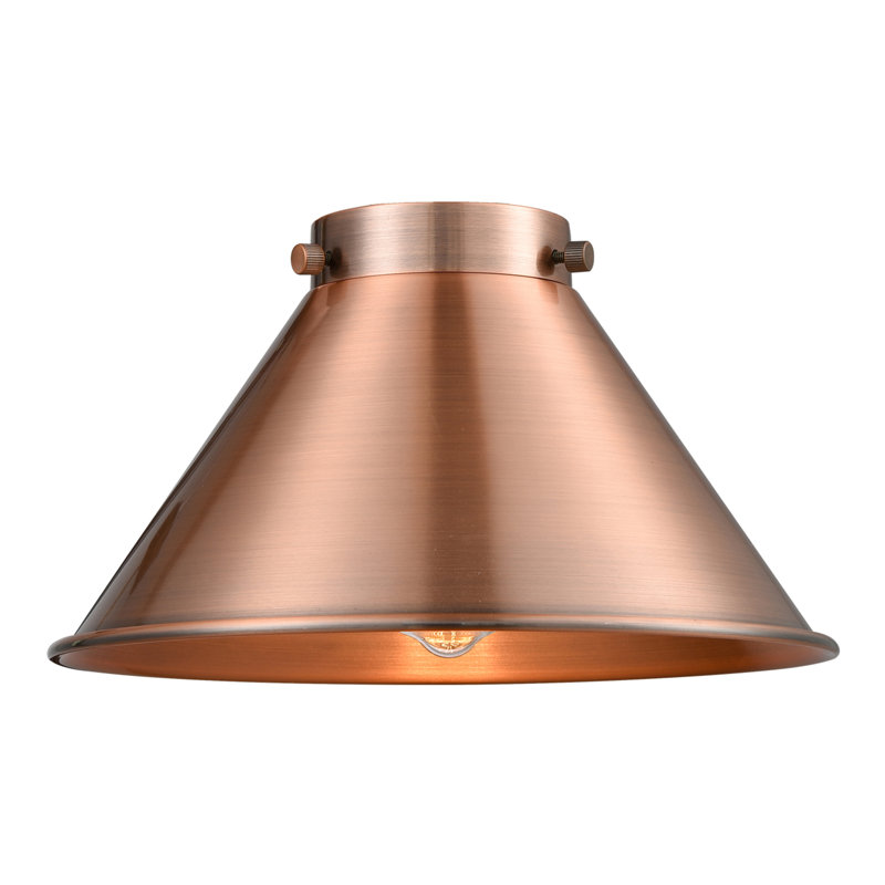 Franklin Restoration - Donner - Mini luminaire suspendu à cordon de 10 po - Interrupteur marche / arrêt - Ampoule DEL - Abat-jour