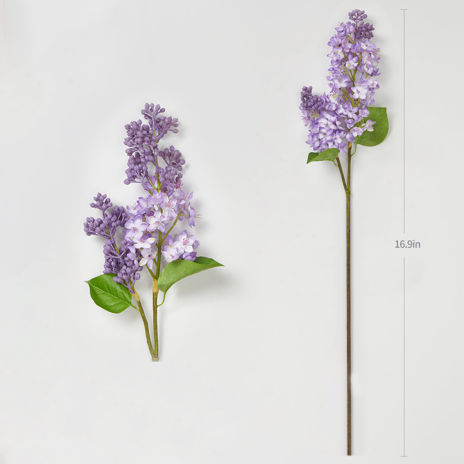 Lilac Floral Stems, Purple