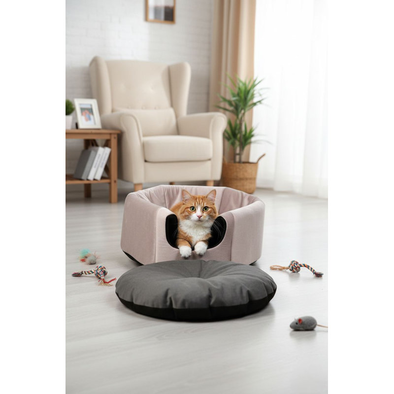 Cat Bed