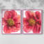 Pivoine arborescente I - impression encadrée de qualité supérieure - prête à être accrochée - aucun clou requis - aucun clou requis-1496379953-1496379964