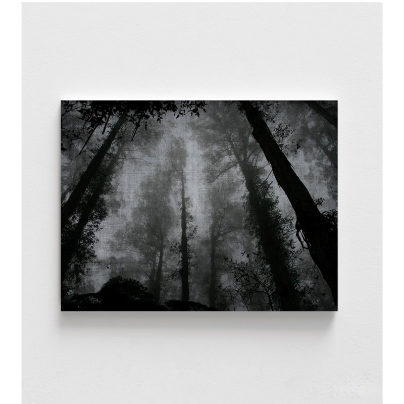 Trees And Clouds 2 By Denise Forest Photography Print, Tall Tree Wall Art, Nature Woods Picture,Extra Large Lobby Art