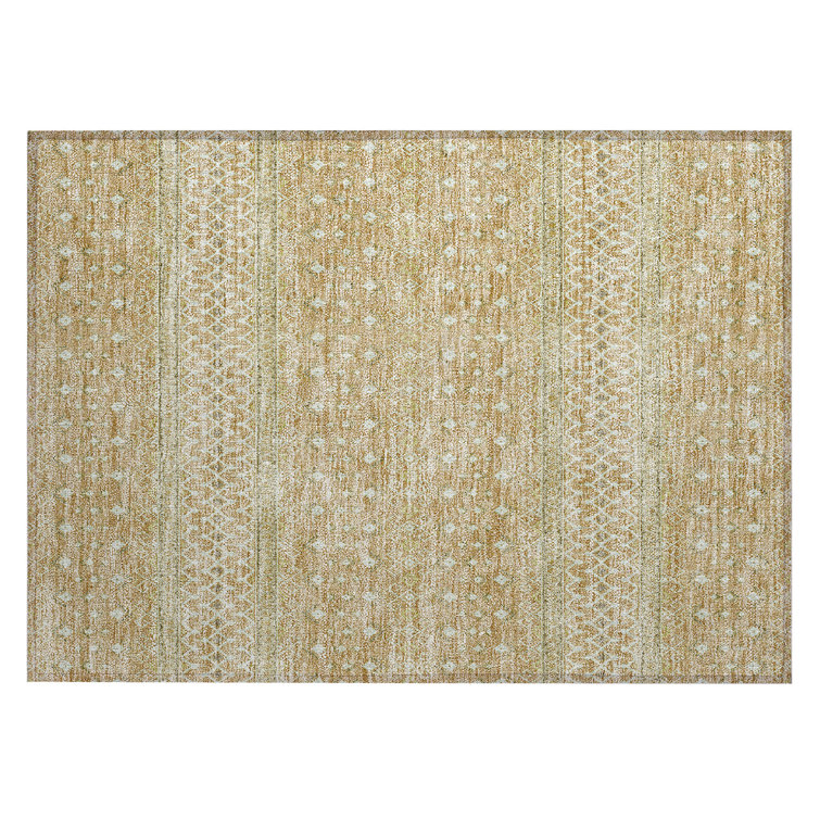  Bhavya Area Rug