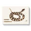 Rattlesnake by Mark Catesby - Wrapped Canvas-55322581