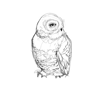 " Sketchy Owl "