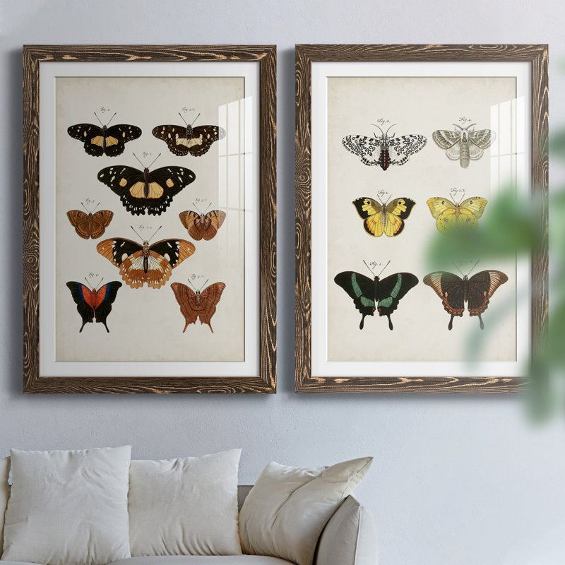 «Vintage Butterflies V», ensemble de 2 impressions encadrées, Papier, cadre noyer, H 31,5 po x l 47 po x P 1,5 po
