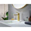 Paula Single Hole Single-Handle Bathroom Faucet-110897511