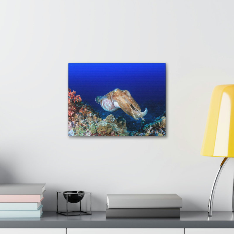 Chasse de seiche sur un récif de corail, art mural animal, H 18 po x l 24 po