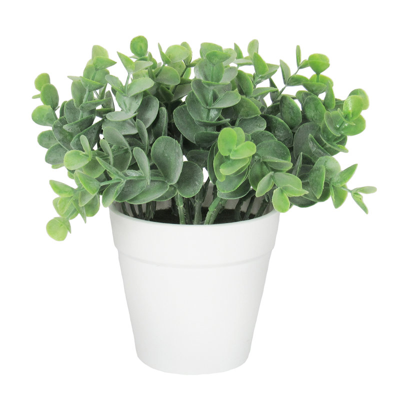 Eucalyptus artificiel 3,5 po en pot, Blanc