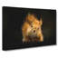 Squirrel - Wrapped Canvas-55323187