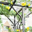 Arche de jardin en métal Outsunny