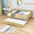 Alene Daybed with Trundle-59747864-59747871
