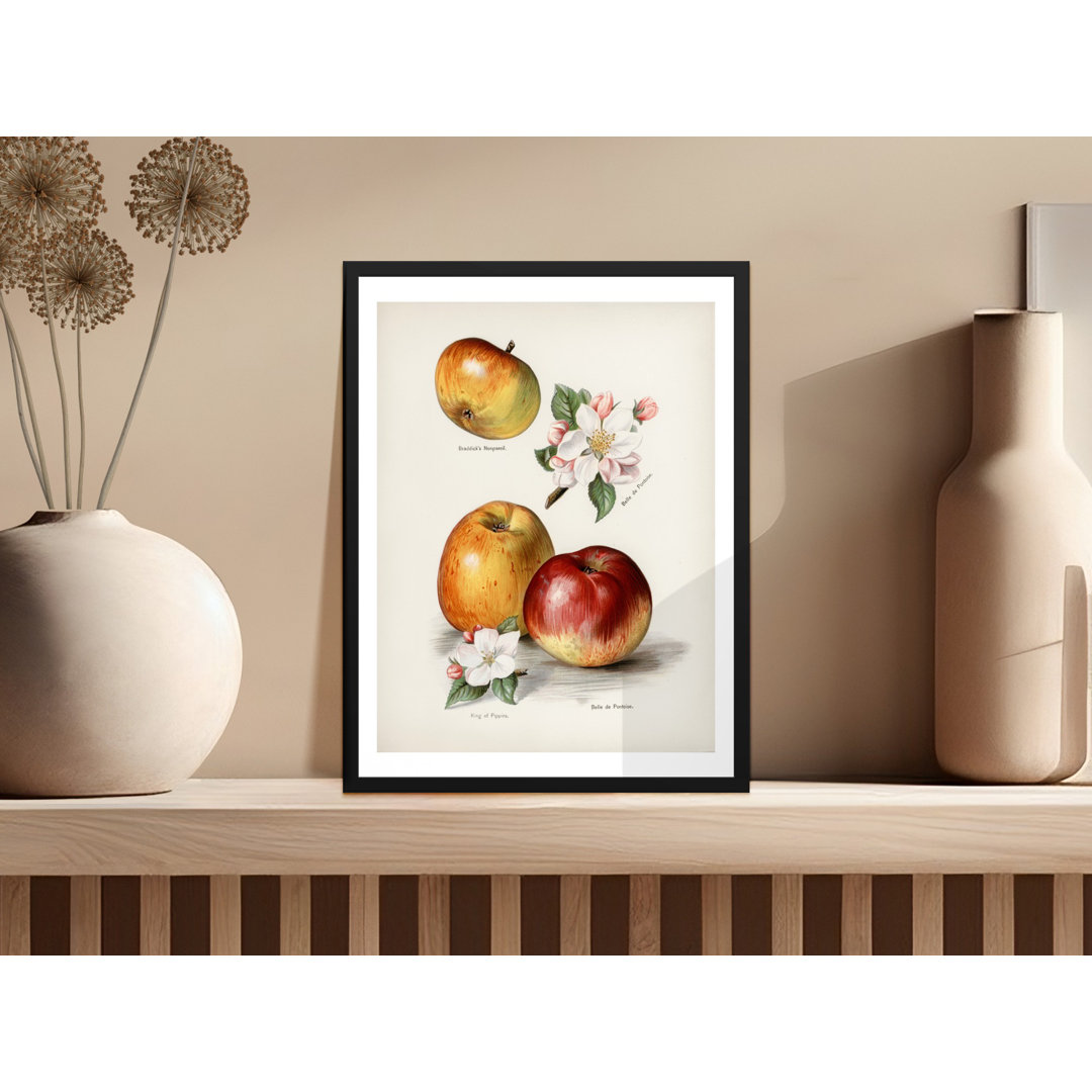 No Frame Print