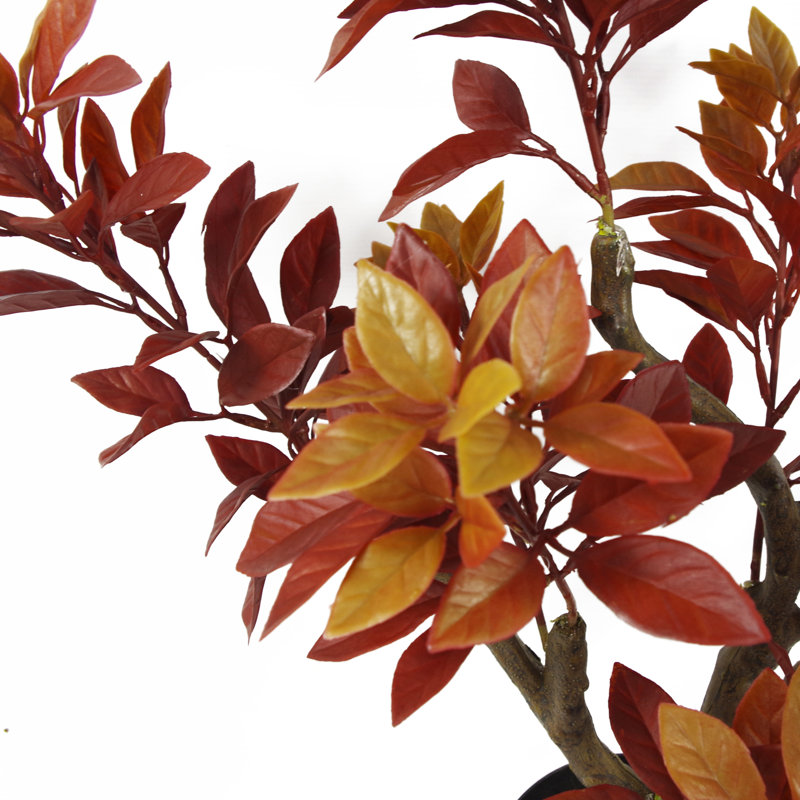 Anlin 80cm Faux Ficus Tree in Pot, Orange