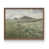 Noyer
