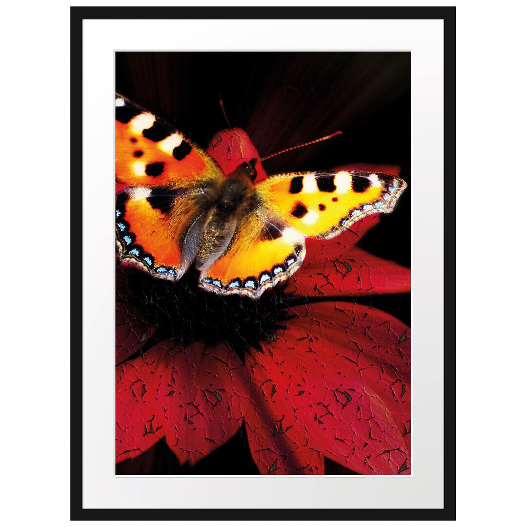 Gerahmtes Poster Schmetterling auf roter Blüte