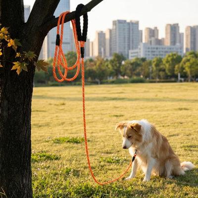 Long Dog Training Leash, Heavy Duty Reflective Rope Lead for Small Medium Large Dogs, Multiple Lengths: 6FT, 10FT, 15FT, 30FT, 50FT for Training, Walking, Backyard, Camping