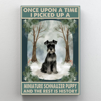 I Picked Up A Miniature Schnauzer