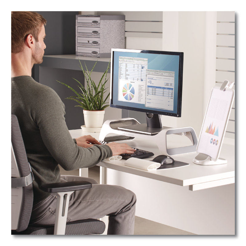 Fellowes® Single Screen Desktop Mount, White/Grey