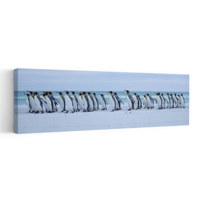 Art mural côtier King Penguin