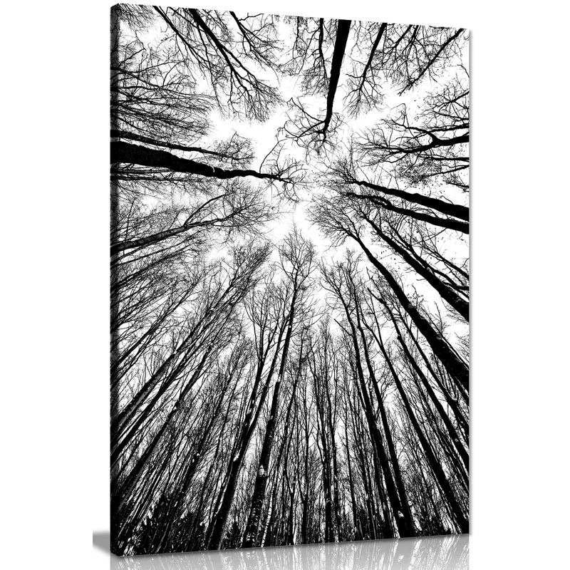 Trees - Wrapped Canvas Print, 76cm H x 51cm W