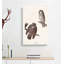 Tenmalms Owls by John Audubon - Wrapped Canvas-55330593