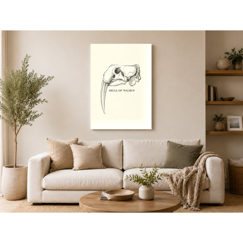 Crâne de morse - art mural sur toile Portrait, 16" W x 20" H