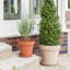 Pot Planter-837154933-837154932