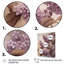 Lilas mauves parfumés III-925259449-925259446