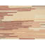Striped Area Rug in Brown/Red