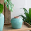 Vase de table Cevennes-1831604526
