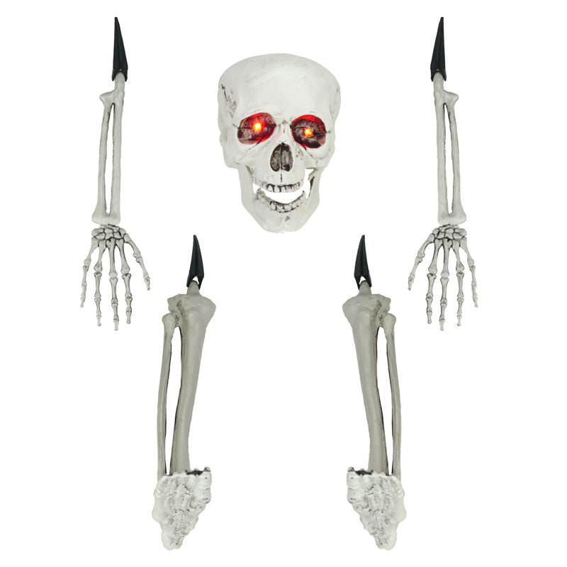 Ensemble de décoration squelette 5 pièces 5,5 "19,5"
