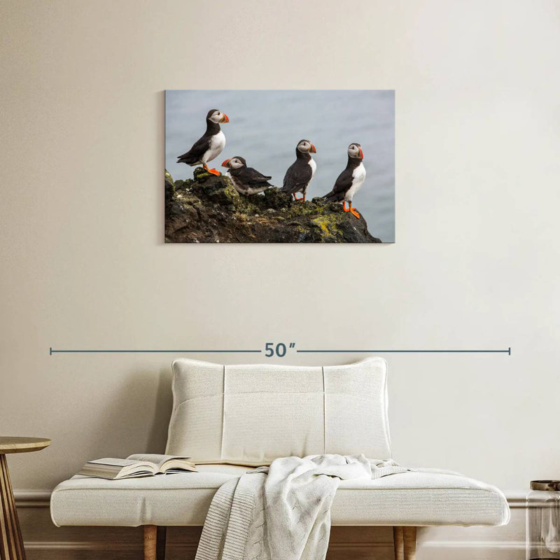 Brampt Puffins On A Rock, 20" H x 30" W