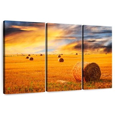 Alvord Hay Bale At Sunset