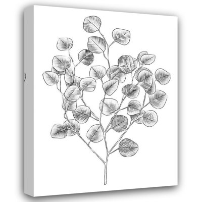 Art sur toile tendue avec Lark Manor ™, Scarvey, Emma, Eucalyptus
